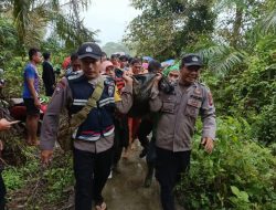 Korban Hanyut di Tamiang Ditemukan Meninggal Tersangkut  di Pohon Sawit