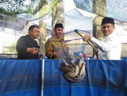 Masyarakat Kampung  Baru Panen Perdana Lele Sebanyak Dua Ton