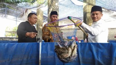 Masyarakat Kampung  Baru Panen Perdana Lele Sebanyak Dua Ton