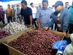 Hari ke-7 Ramadhan, Pj Bupati Aceh Besar Cek Harga Sembako di Pasar Lambaro