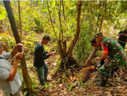 Kasus Pemilik Ternak Bunuh Harimau, FJL Minta Polisi Pertimbangkan Aspek Kemanusiaan 