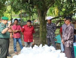 Dandim Abdya Bagikan Puluhan Ribu Benih Ikan Air Tawar untuk Masyarakat