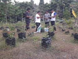 Pemkab Aceh Besar Salurkan Benih Komoditi Unggulan di Pulo Aceh