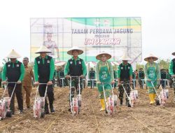 Pangdam IM Launching Program I’M Jagong Ditandai Penanaman Serentak di Seluruh Aceh