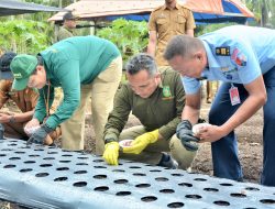 Tekan inflasi, Pemko Sabang Bagikan 2 Ton Bibit Bawang Merah