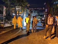 Hujan dan Angin Kencang Landa Aceh Barat, Pohon Bertumbangan