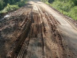 Di Tamiang Ada Jalan Langsung Rusak Usai Dikerjakan, Begini Penjelasan Pengawas