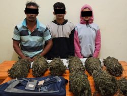 Polisi Tangkap Pasutri Pengedar 7 Bal Ganja di Lhokseumawe