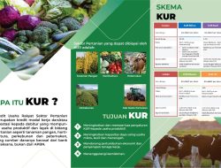 KUR Aceh Rp 3,5 Triliun, Distanbun Terus Maksimalkan Serapannya