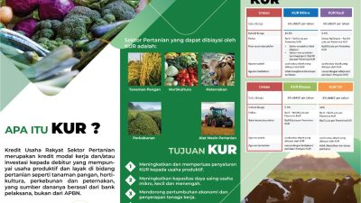 KUR Aceh Rp 3,5 Triliun, Distanbun Terus Maksimalkan Serapannya