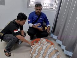 BREAKINGNEWS: Menyelam di Pulo Bunta, Koordinator Satgas SAR Aceh, May Fendri Meninggal