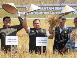 Pj Bupati Aceh Besar Lakukan Panen Gadu 2023, “Keberhasilan di Tengah Cuaca Ekstrem