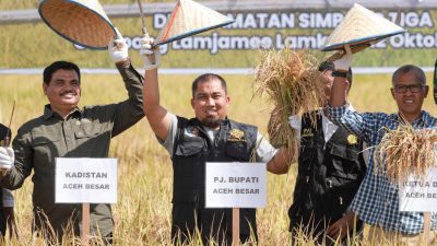 Pj Bupati Aceh Besar Lakukan Panen Gadu 2023, “Keberhasilan di Tengah Cuaca Ekstrem