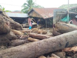 Aceh Tenggara Banjir Lagi, Kayu Log Timbun Permukiman, 1 Warga Hilang