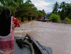 Banjir Tenggelamkan Aceh Barat, Jalan dan Jembatan Putus