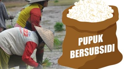 Distribusi Pupuk Bersubsidi di Aceh Tembus 140.910 Ton