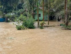 Hujan Terus Mengguyur, Tamiang Hulu Siaga Banjir