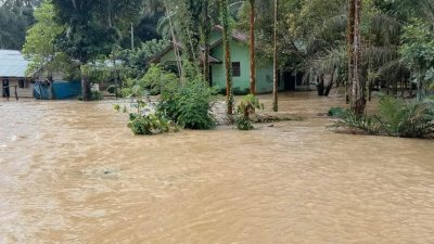 Hujan Terus Mengguyur, Tamiang Hulu Siaga Banjir