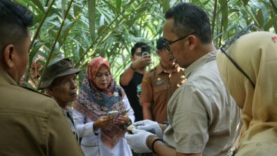 Salak Sabang Terkenal Enak, Harus Didukung Kemasan Menarik