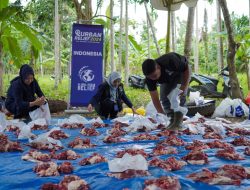 Ribuan Yatim dan Duafa Aceh Terima Daging Kurban GER Indonesia