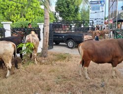 Warga Meunasah Baet Sembelih 27 Ekor Hewan Qurban