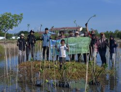 Peringati Hari Lingkungan Sedunia, FJL Tanam Mangrove di Pesisir Lampulo