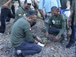 Sabang Budidayakan Tanaman Nilam