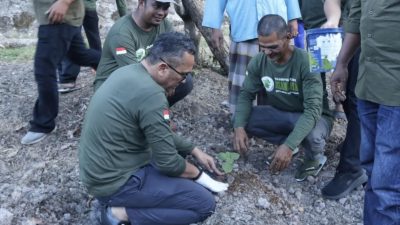 Sabang Budidayakan Tanaman Nilam