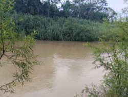 Hendak Menyusul Ibu, Gadis Kecil Ini Tenggelam di Sungai Peureulak