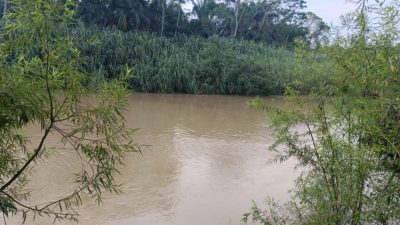 Hendak Menyusul Ibu, Gadis Kecil Ini Tenggelam di Sungai Peureulak