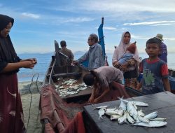 Berburu Ikan Segar di Pantai Lam Awe