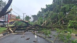 Dahan Pohon Patah Menutupi Badan Jalan ke Bandara SIM