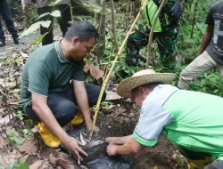 Lestarikan Alam Hijau, Pj Wali Kota Sabang Tanam Pohon di Air Terjun Pria Laot