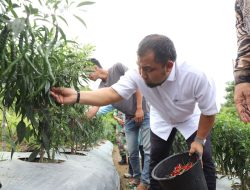 Pj Bupati Aceh Besar Ajak Masyarakat Manfaatkan Lahan Kosong