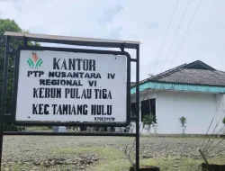 Manajer Kebun Pulau Tiga Tak Diterima Warga