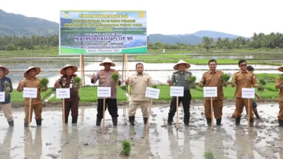 Aceh Besar Target 8 Ton Padi Per Hektar