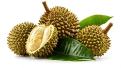 Awas, Ada 17 Jenis Makanan yang Tidak Boleh Dimakan Bersamaan dengan Durian