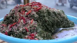 Selain Enak untuk Buka Puasa, Sambal Peugaga Juga Baik untuk Kesehatan